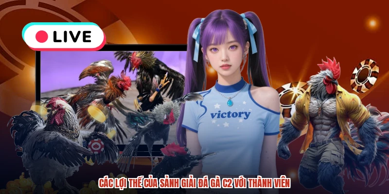 Các lợi thế của sảnh giải đá gà C2 với thành viên Các lợi thế của sảnh giải đá gà C2 với thành viên