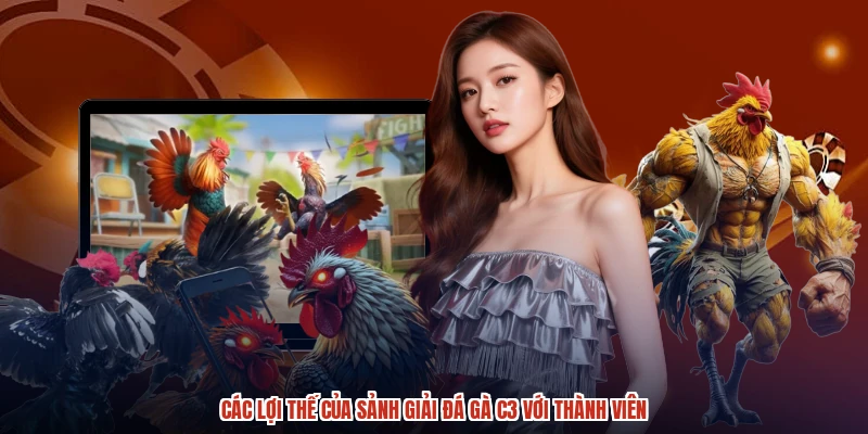 Các lợi thế của sảnh giải đá gà C3 với thành viên Các lợi thế của sảnh giải đá gà C3 với thành viên