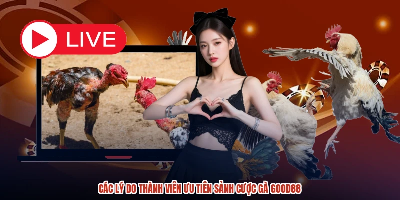 Các lý do thành viên ưu tiên sảnh cược gà GOOD88 Các lý do thành viên ưu tiên sảnh cược gà GOOD88