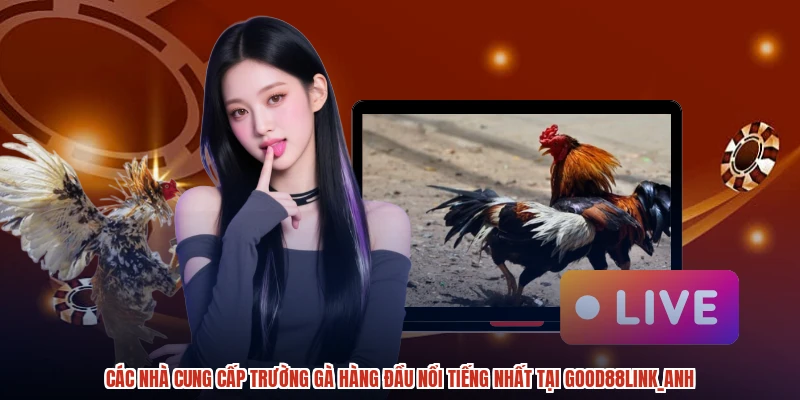 Các nhà cung cấp trường gà hàng đầu nổi tiếng nhất tại GOOD88anh Các nhà cung cấp trường gà hàng đầu nổi tiếng nhất tại GOOD88anh