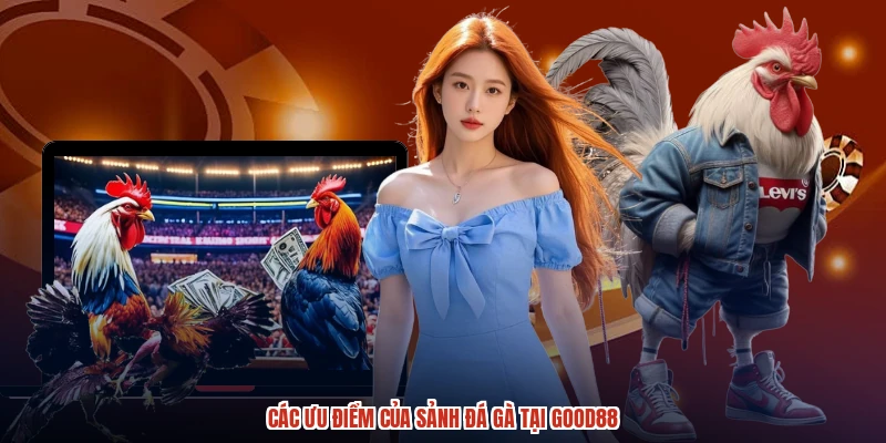 Các ưu điểm của sảnh đá gà tại GOOD88 Các ưu điểm của sảnh đá gà tại GOOD88