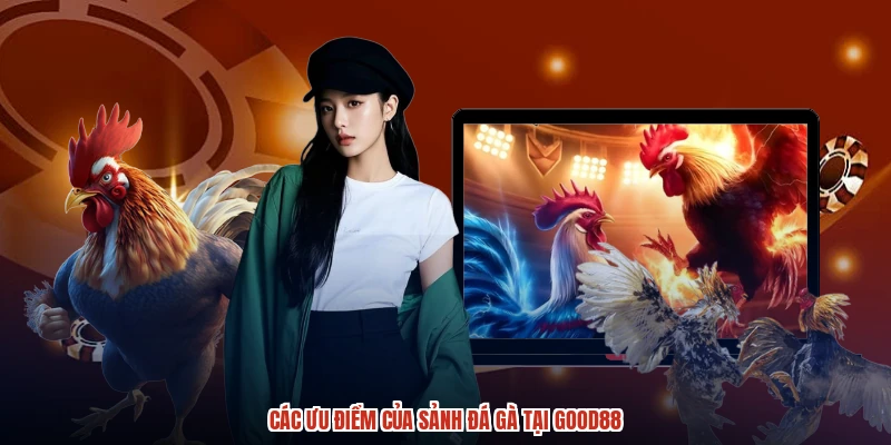 Các ưu điểm của sảnh đá gà tại GOOD88 Các ưu điểm của sảnh đá gà tại GOOD88