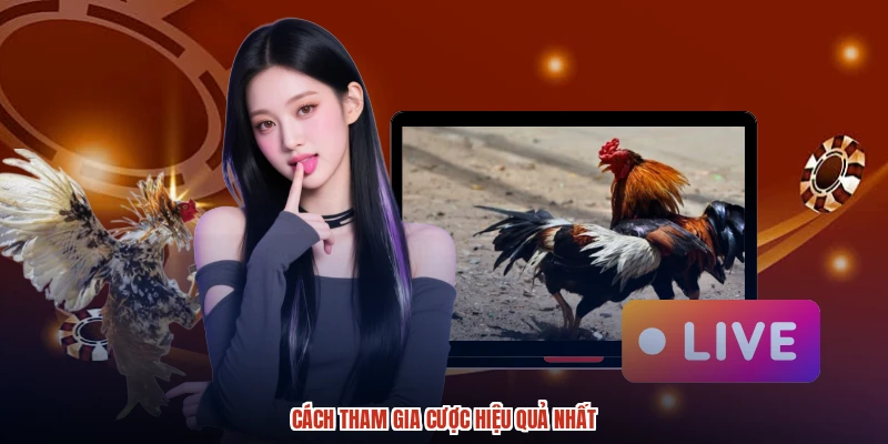 Cách tham gia cược hiệu quả nhất