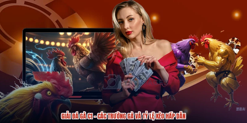 Giải Đá Gà C1 - Các Trường Gà Và Tỷ Lệ Kèo Hấp Dẫn