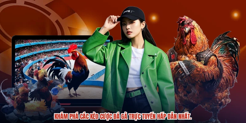 Khám phá các kèo cược đá gà trực tuyến hấp dẫn nhất. Khám phá các kèo cược đá gà trực tuyến hấp dẫn nhất.