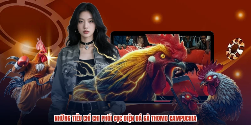 Những tiêu chí chi phối cục diện đá gà thomo Campuchia