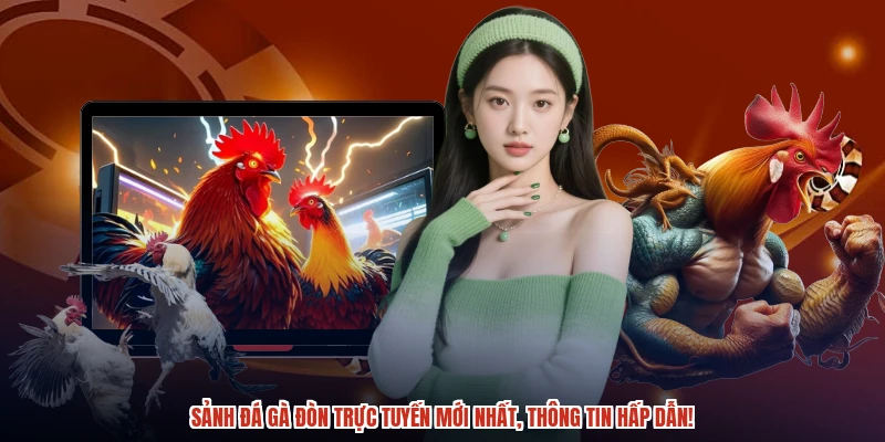 Sảnh đá gà đòn trực tuyến mới nhất, thông tin hấp dẫn Sảnh đá gà đòn trực tuyến mới nhất, thông tin hấp dẫn