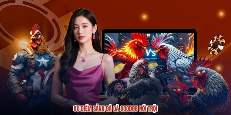 Ưu điểm sảnh đá gà GOOD88 nổi trội Ưu điểm sảnh đá gà GOOD88 nổi trội